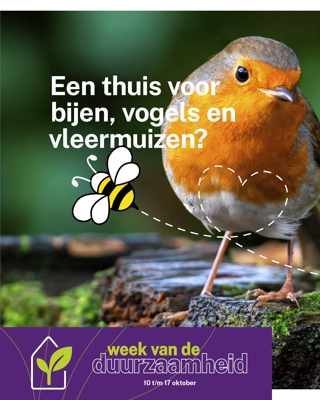 Hazenberg duurzaamheids campagne